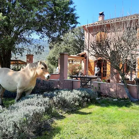 Une Pause En Foret A La Ferme