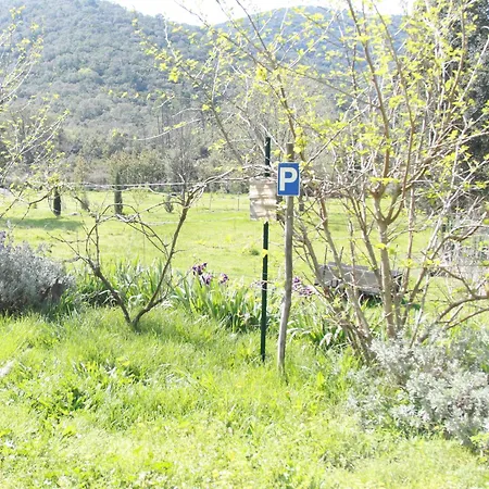 乡村民宿 Une Pause En Foret A La Ferme 博尔马斯·莱斯·米默萨斯